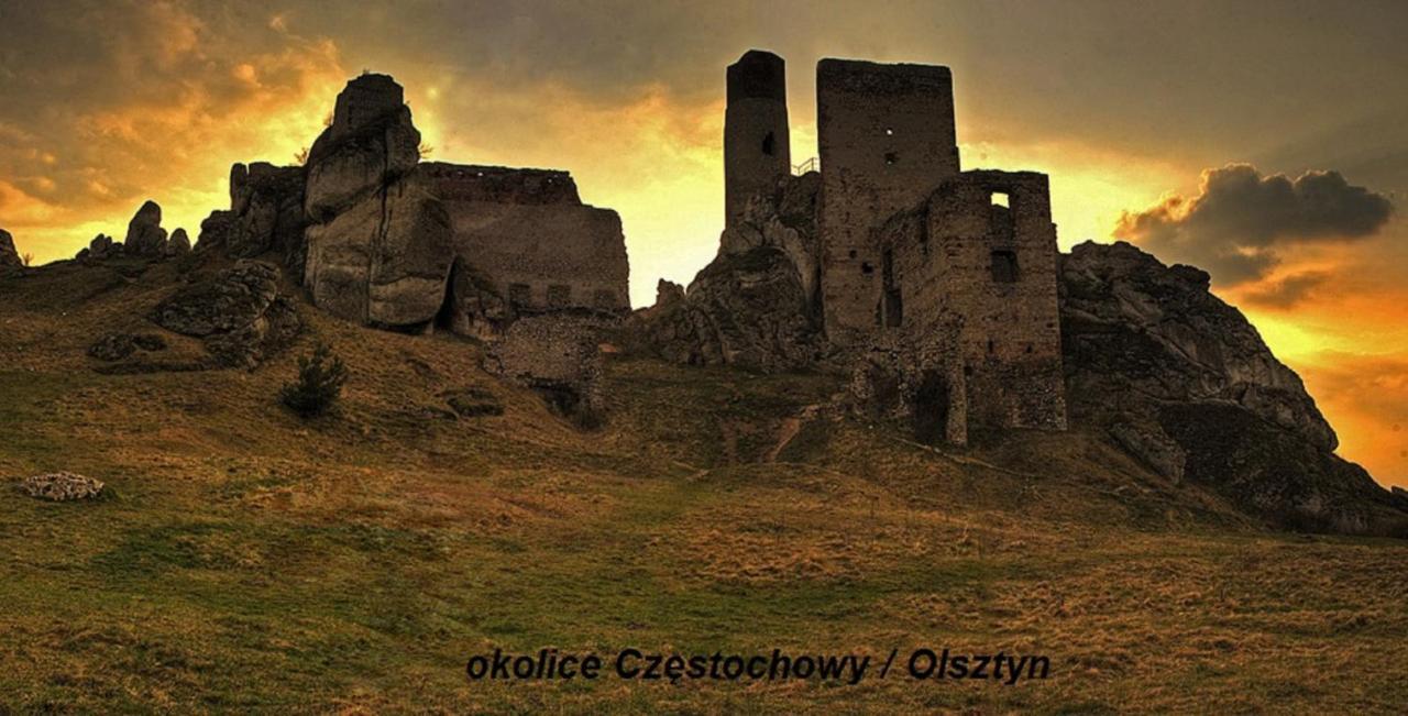 Apartamenty Czestochowa Eu "Parking Gratis" エクステリア 写真